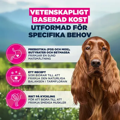 Eukanuba Special Care Sensitive Digestion Adult