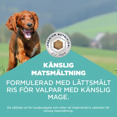 Eukanuba Special Care Sensitive Digestion Puppy Chicken & Turkey