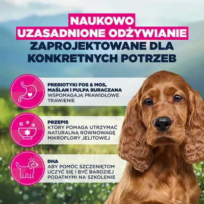 Eukanuba Special Care Sensitive Digestion Puppy, kurczak i indyk Eukanuba Special Care Sensitive Digestion Puppy, kurczak i indyk