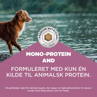 Mono-protein og formuleret med kun én kilde til animalsk protein. Premium Nutrition Est. 1969. Velegnet til følsomme, voksne hunde. Mono-protein og formuleret med kun én kilde til animalsk protein. Premium Nutrition Est. 1969. Velegnet til følsomme, voksne hunde.