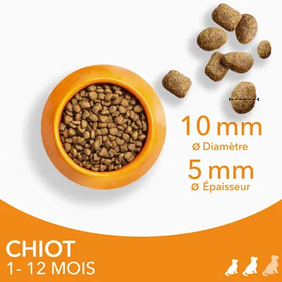 Croquettes pour chiot 1–12 mois, diamètre 10 mm, épaisseur 5 mm, présentées dans une gamelle orange et en gros plan. Texte visible : CHIOT 1–12 MOIS, 10 mm diamètre, 5 mm épaisseur.