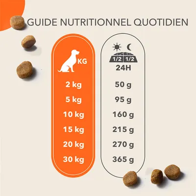 Guide nutritionnel quotidien : pour 2 kg 50 g, 5 kg 95 g, 10 kg 160 g, 15 kg 215 g, 20 kg 270 g, 30 kg 365 g par jour. Illustration chien et croquettes visibles.