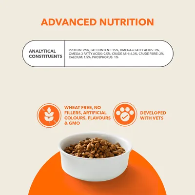 IAMS Advanced Nutrition Sensitive Digestion s krůtím