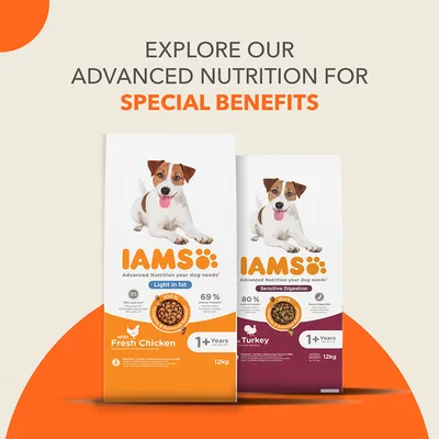 IAMS Advanced Nutrition Sensitive Digestion с пуешко месо
