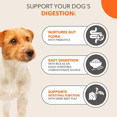 IAMS Advanced Nutrition Sensitive Digestion с пуешко месо