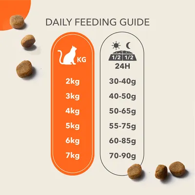 Utfodringsguide för katt: 2 kg 30–40 g, 3 kg 40–50 g, 4 kg 50–65 g, 5 kg 55–75 g, 6 kg 60–85 g, 7 kg 70–90 g per dag. Illustration med torrfoderbitar.