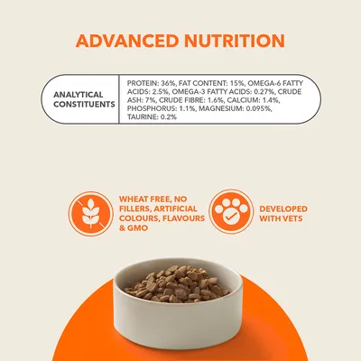 IAMS Advanced Nutrition Senior Cat 11+ med kylling