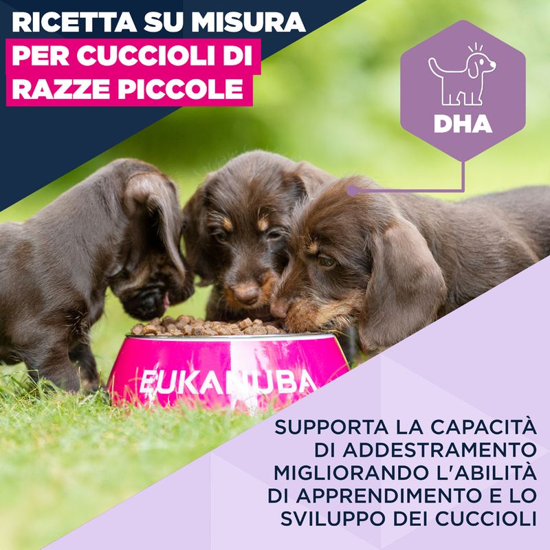 Eukanuba Premium Nutrition Puppy Small Breed Pollo
