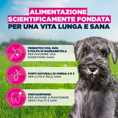 Eukanuba Premium Nutrition Puppy Small Breed Pollo