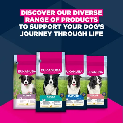 Eukanuba Premium Nutrition Puppy Medium Breed Kylling