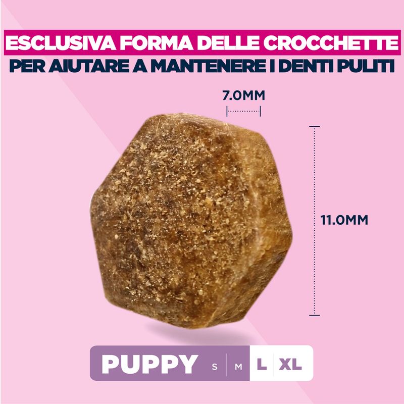 Eukanuba Premium Nutrition Puppy Large & Giant Breed Pollo