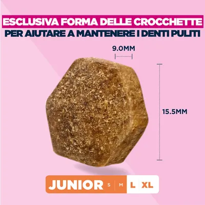 Eukanuba Premium Nutrition Junior Large & Giant Breed Pollo