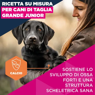 Eukanuba Premium Nutrition Junior Large & Giant Breed Pollo