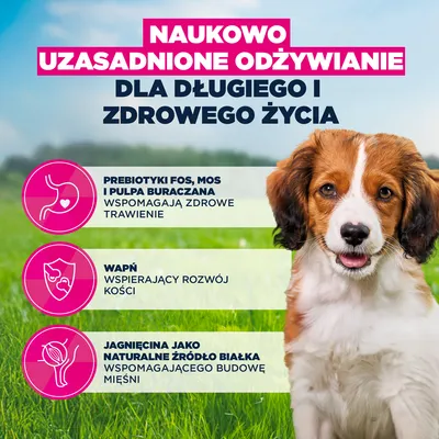 Eukanuba Premium Nutrition Puppy Small & Medium Breed, jagnięcina i ryż