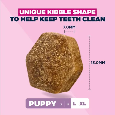 Eukanuba Premium Nutrition Puppy Large & Giant Breed karitsa & riisi