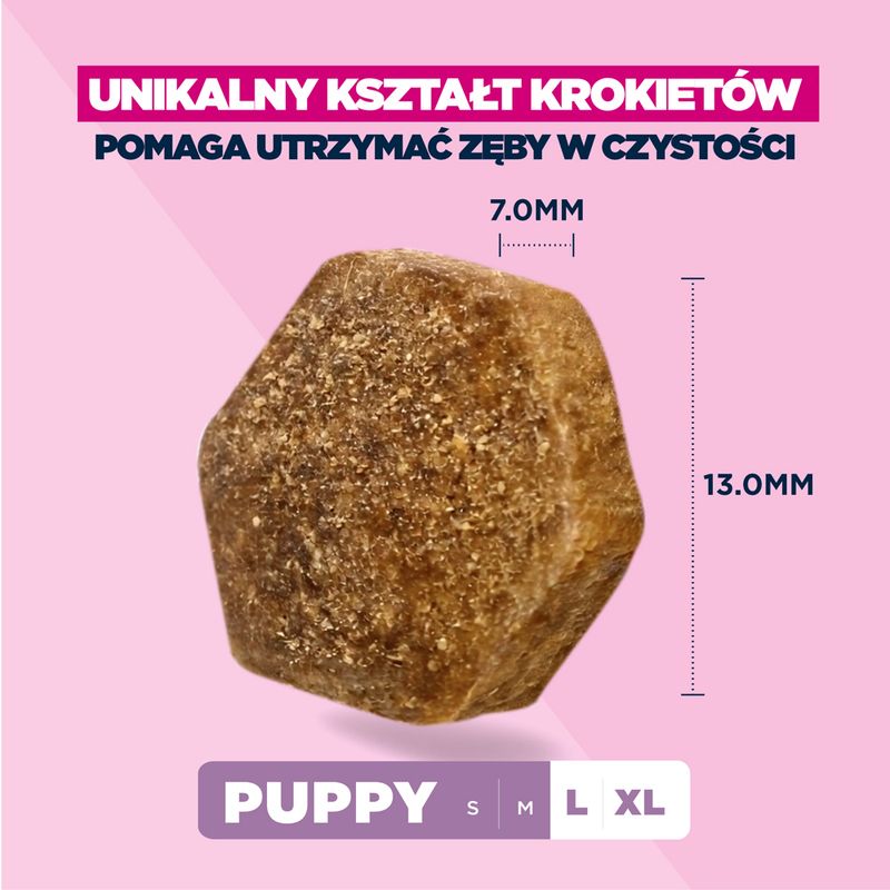 Eukanuba Premium Nutrition Puppy Large & Giant Breed, jagnięcina i ryż