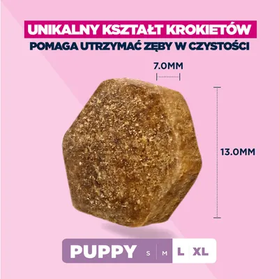 Eukanuba Premium Nutrition Puppy Large & Giant Breed, jagnięcina i ryż