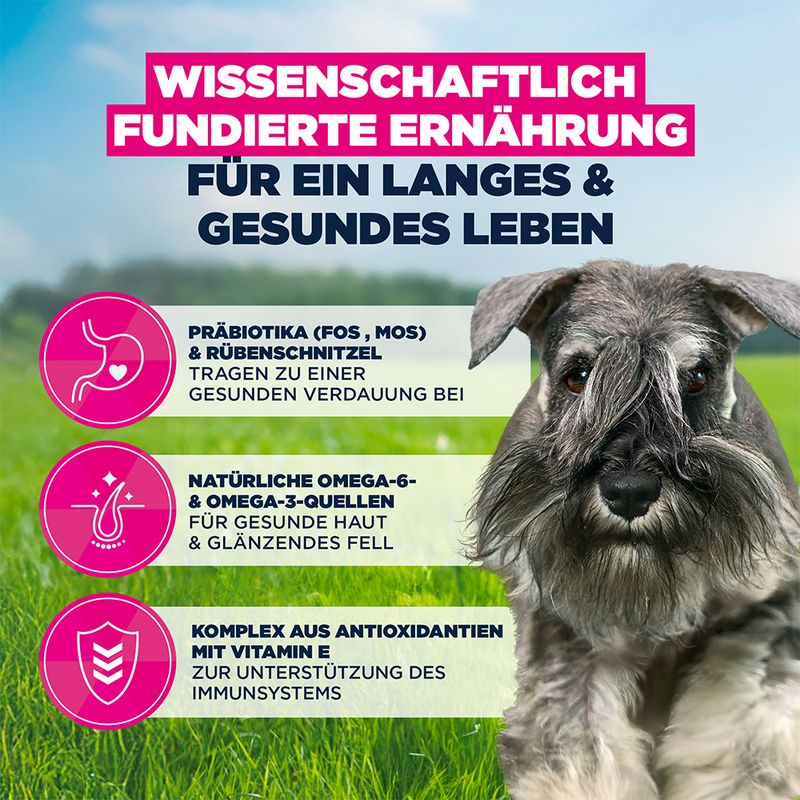 Eukanuba Premium Nutrition Adult Small Breed piščanec