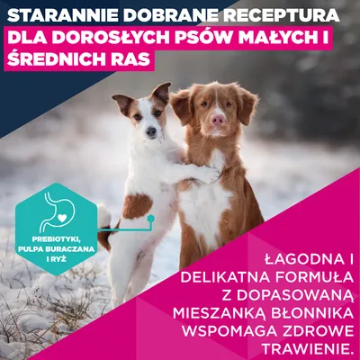 Eukanuba Premium Nutrition Adult Small & Medium Breed, jagnięcina i ryż