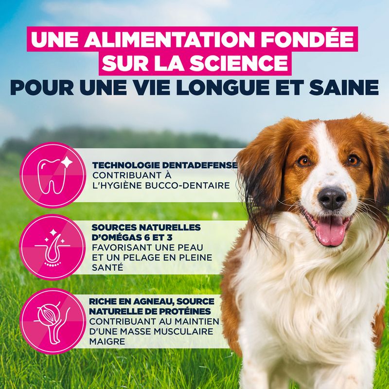 Eukanuba Premium Nutrition Adult Small et Medium Breed Agneau et Riz
