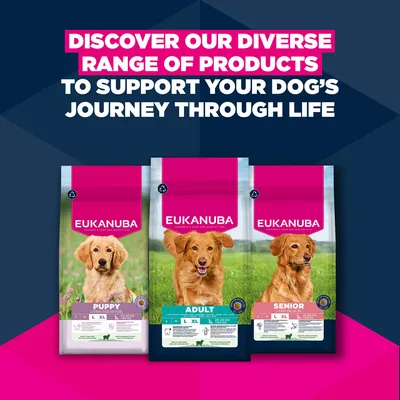 Eukanuba Premium Nutrition Adult Large & Giant Breed karitsa & riisi