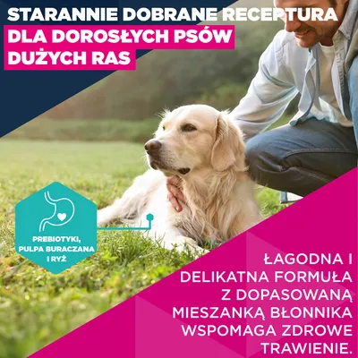 Eukanuba Premium Nutrition Adult Large & Giant Breed, jagnięcina i ryż