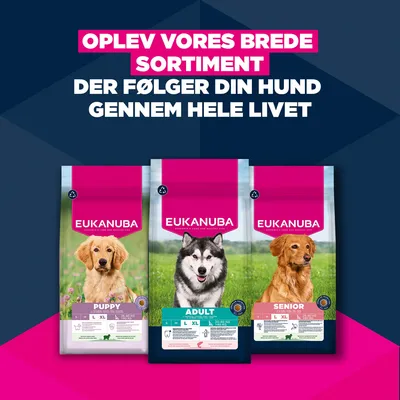 Eukanuba Premium Nutrition Adult Large & Giant Breed Laks