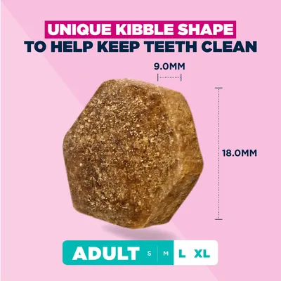 Eukanuba Premium Nutrition Adult Large & Giant Breed lohi