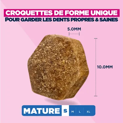 Eukanuba Premium Nutrition Mature Small Breed au poulet