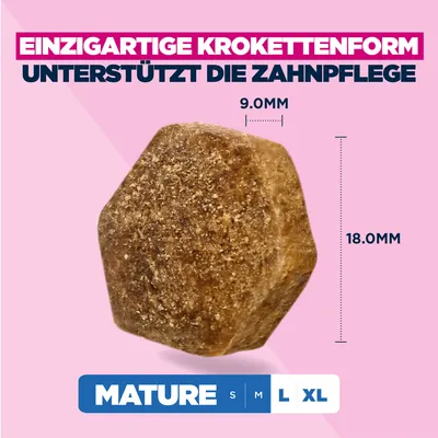 Eukanuba Premium Nutrition Mature Large & Giant Breed piščanec