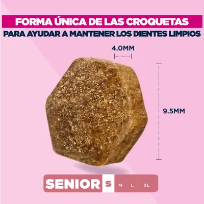 Eukanuba Premium Nutrition Senior Small Breed pollo
