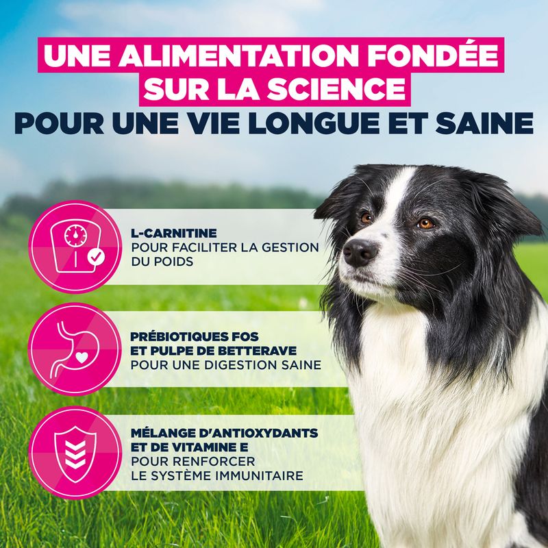 Eukanuba Premium Nutrition Senior Medium Breed au poulet pour chien