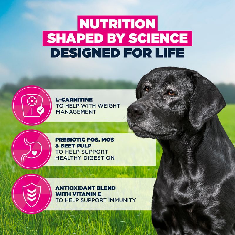 Eukanuba Premium Nutrition Senior Large & Giant Breed Chicken