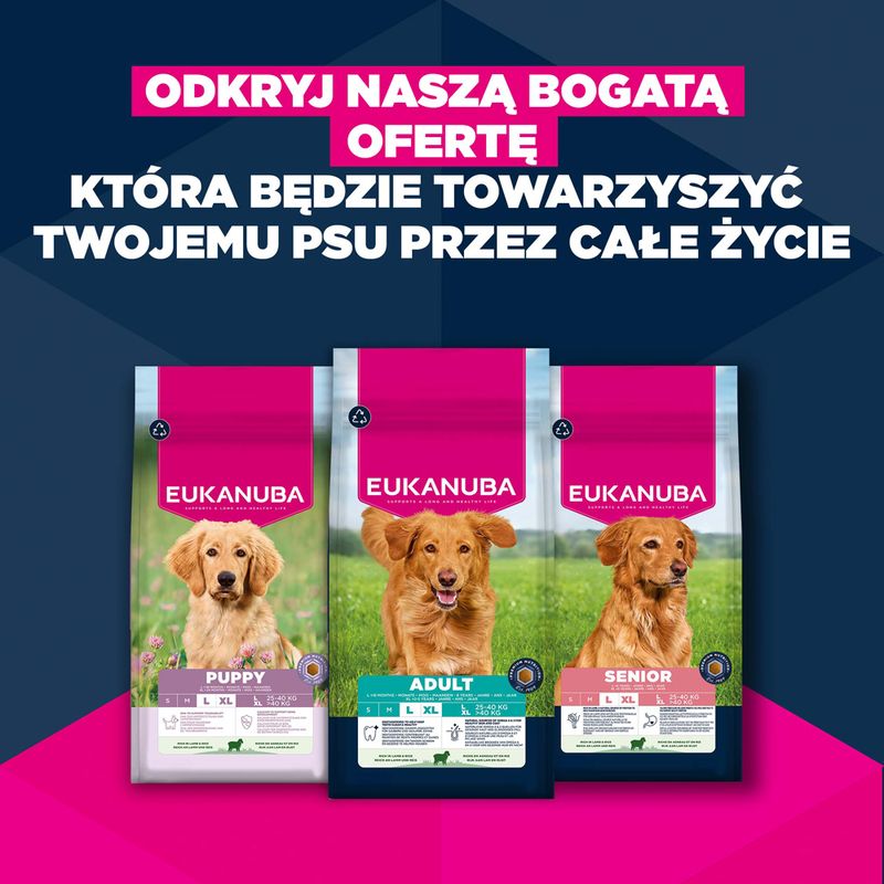 Eukanuba Premium Nutrition Senior Large & Giant Breed, jagnięcina i ryż