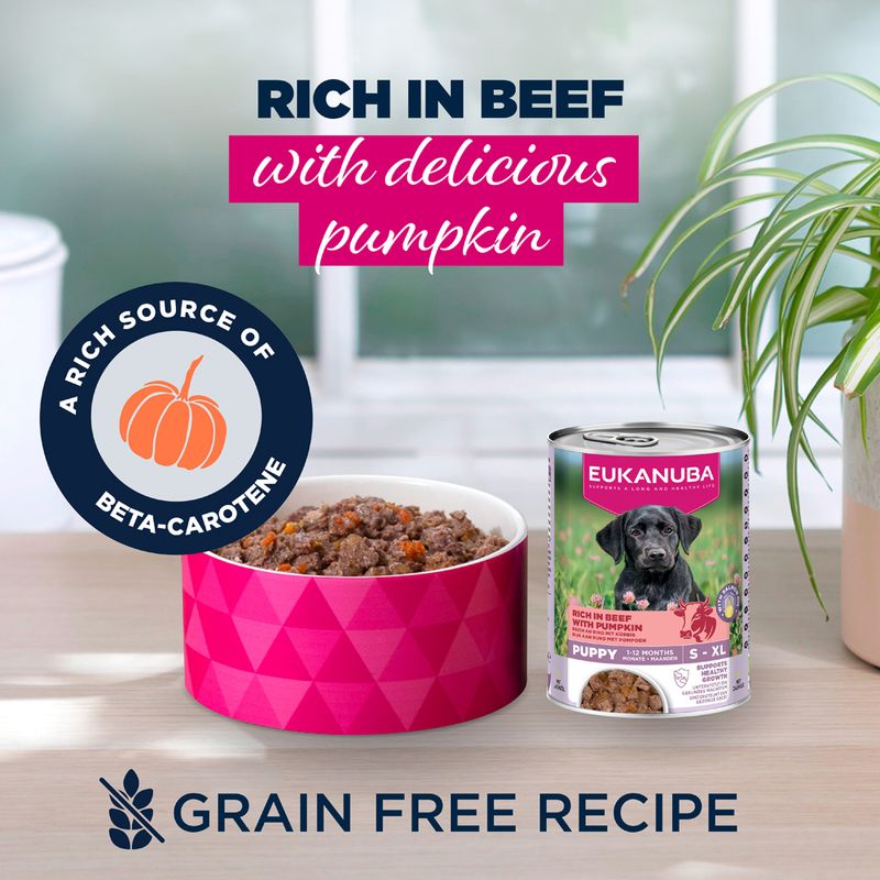Eukanuba Puppy Rich in Beef with Pumpkin