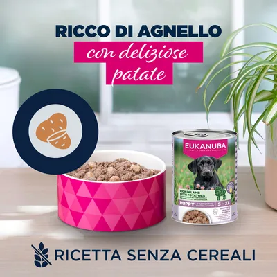 Eukanuba Puppy Ricco di Agnello con Patate