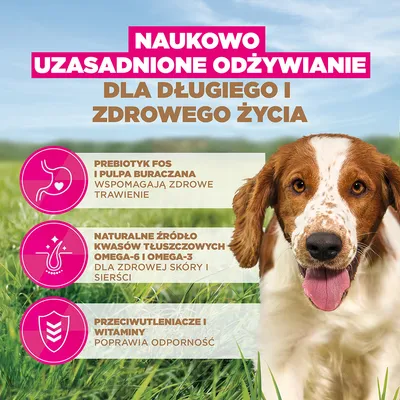 Eukanuba Grain Free Adult Small & Medium, ryby oceaniczne