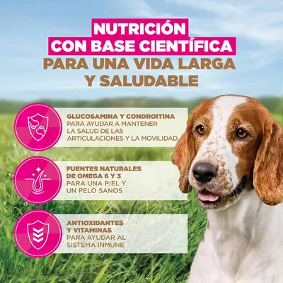 Eukanuba Grain Free Senior Small & Medium pescado de mar