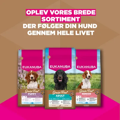 Eukanuba Grain Free Adult Wild