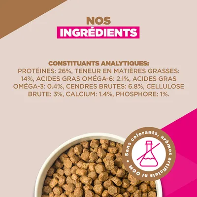 Eukanuba Grain Free Adult Small & Medium Agneau