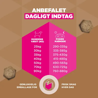 Eukanuba Grain Free Adult Large med lam