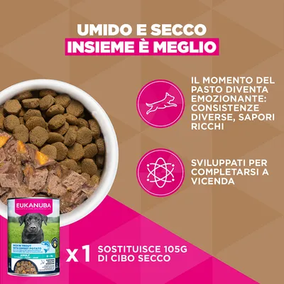 Eukanuba Grain Free Adult Large con Agnello