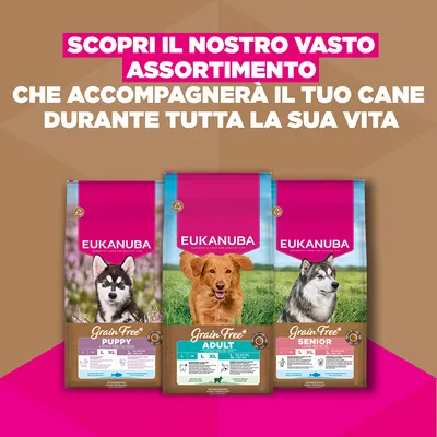 Eukanuba Grain Free Adult Large con Agnello