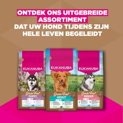 Eukanuba Grain Free Adult Large Dogs Lam