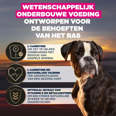 Wetenschappelijk ontwikkeld voer met L-carnitine voor vetverbranding, taurine voor een gezond hart en een optimale hoeveelheid vitamine E en bètacaroteen ter ondersteuning van de weerstand. Wetenschappelijk ontwikkeld voer met L-carnitine voor vetverbranding, taurine voor een gezond hart en een optimale hoeveelheid vitamine E en bètacaroteen ter ondersteuning van de weerstand.
