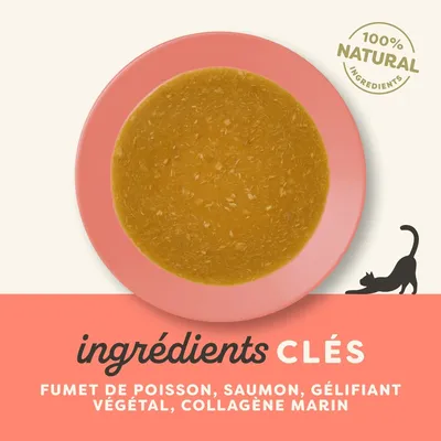 Applaws Bouillon d'os 12 x 85 g