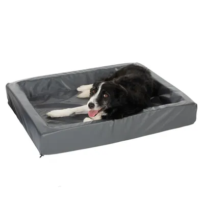 Hund liegt auf einem grauen rechteckigen Hundebett mit erhöhtem Rand.