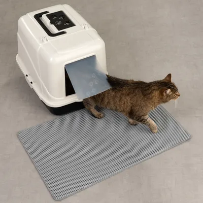 Kattenbak met witte kap, transparante klep met pootafdrukken en grijze mat ervoor; kat loopt uit de kattenbak over de mat.
