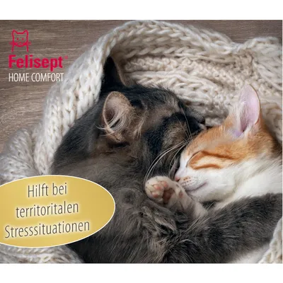 Felisept Home Comfort. Auttaa alueellisissa stressitilanteissa.
