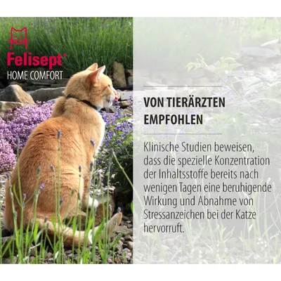 Felisept Home Comfort. Eläinlääkärien suosittelema. Kliiniset tutkimukset osoittavat rauhoittavan vaikutuksen ja stressin vähenemisen kissoilla erityisen ainesosapitoisuuden ansiosta.